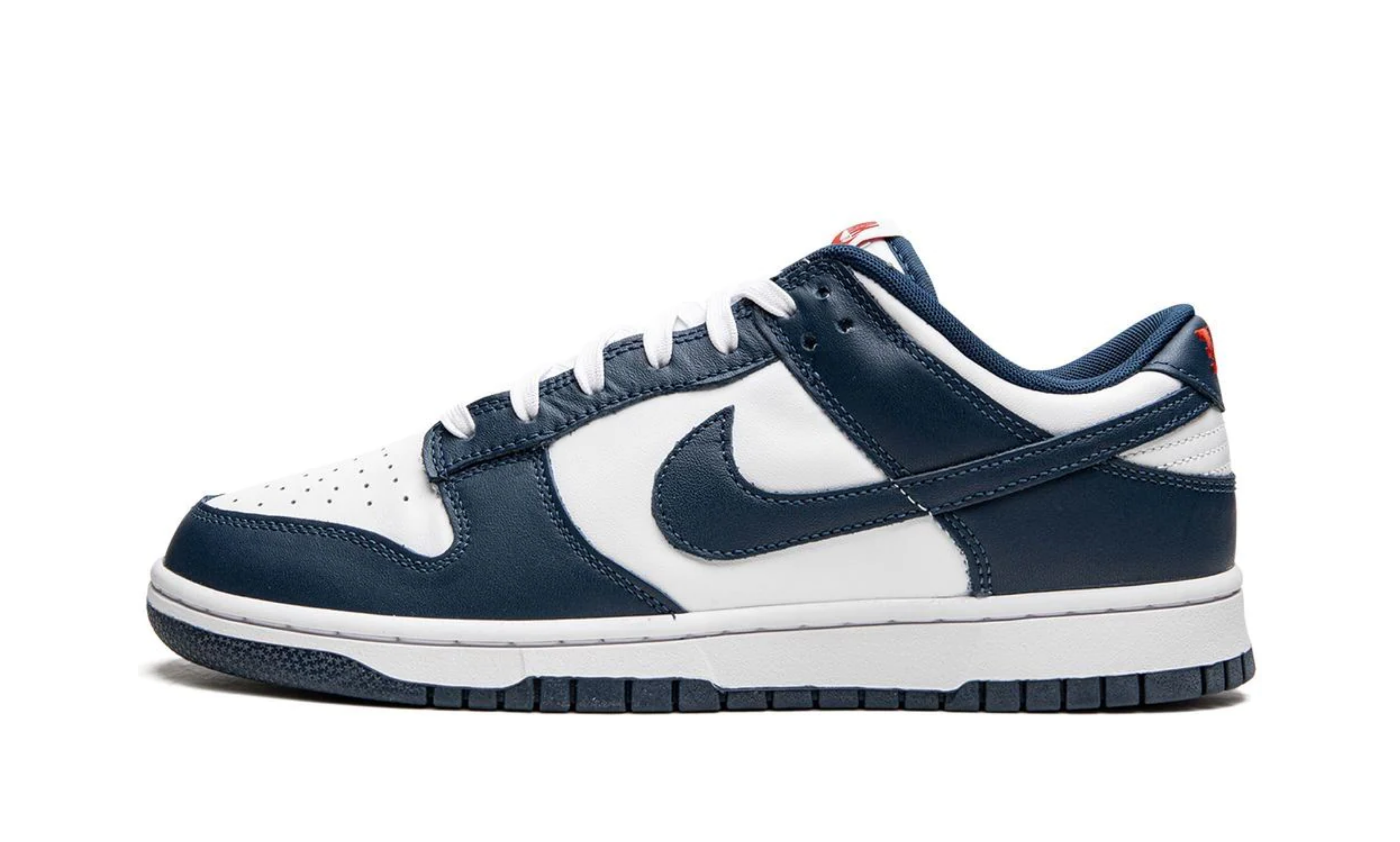 Nike Dunk Low Valerian Blue