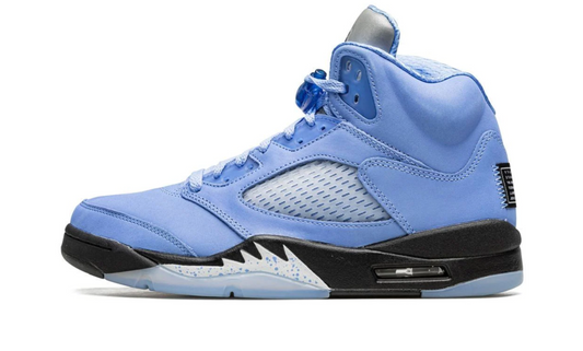 Air Jordan 5 SE UNC